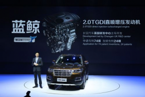 国产无,探索中国制造业的无尽潜能